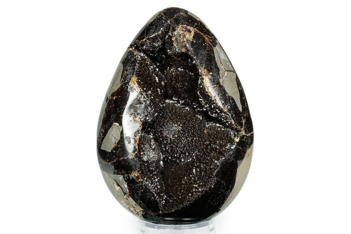 Polished Dragon Egg Septarian Geode #342597